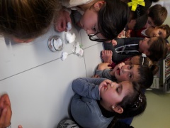 20161206_153632 20161206_153632