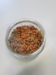 20161215_084011 20161215_084011