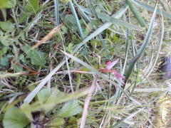 20170404_102552 20170404_102552