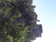 20170404_115126 20170404_115126