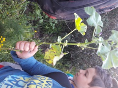 20170404_103828 20170404_103828