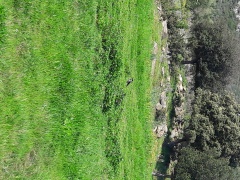 20170404_104343 20170404_104343