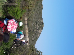 20170404_105424 20170404_105424