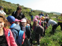 5.ripartimu à marchjà 5.ripartimu à marchjà