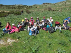 6.pusemu è amparemu e piante 6.pusemu è amparemu e piante