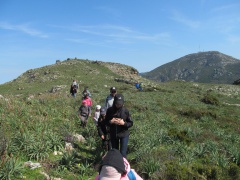 8.marchjemu torna 8.marchjemu torna