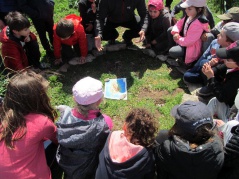 12 Ci ghuvemu di una carta 12 Ci ghuvemu di una carta