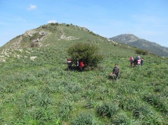 11. ghjuchemu 11. ghjuchemu