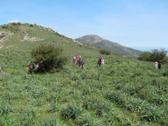 11. dopu manghjatu 11. dopu manghjatu