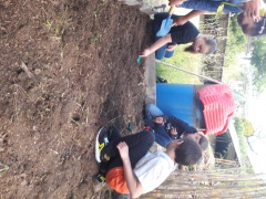 20170502_112237 20170502_112237