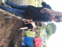 20170502_112239 20170502_112239