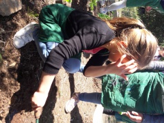 20170516_104948 20170516_104948