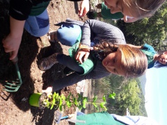 20170516_104951 20170516_104951