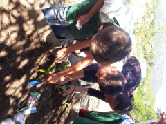 20170516_104958 20170516_104958