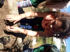 20170516_105000 20170516_105000