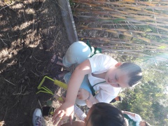 20170516_105029 20170516_105029