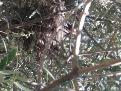 20170516_111638 20170516_111638