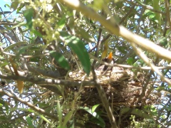 20170516_111655 20170516_111655