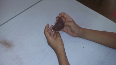 20161007_144440 20161007_144440