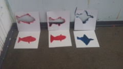 20170112_104206 20170112_104206