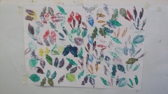 20170209_102226 20170209_102226