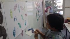 20170209_102306 20170209_102306