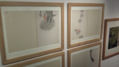 20170331_155130 20170331_155130