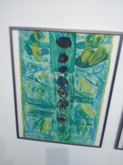 IMG_20170524_171235 IMG_20170524_171235