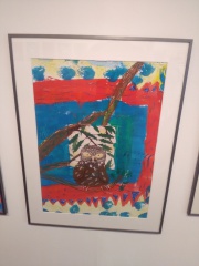 IMG_20170524_171355 IMG_20170524_171355