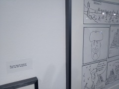 IMG_20170524_172143 IMG_20170524_172143