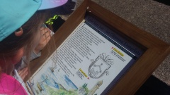 20170411_113041 20170411_113041