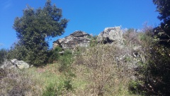 20170411_114835 20170411_114835