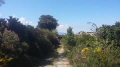 20170411_140323 20170411_140323