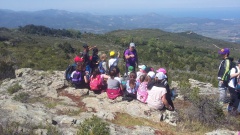 20170411_140709 20170411_140709