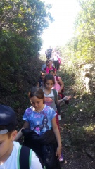 20170411_144011 20170411_144011