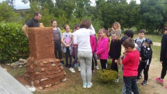 20170512_101736 20170512_101736