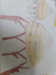 20170523_111050 20170523_111050