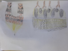 20170523_111103 20170523_111103