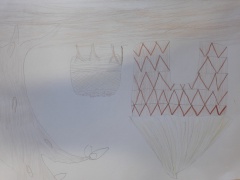 20170523_111112 20170523_111112