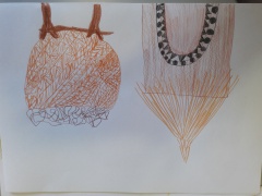 20170523_111138 20170523_111138