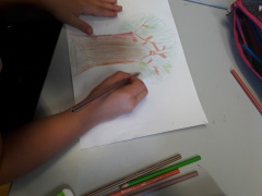 20170523_112448 20170523_112448