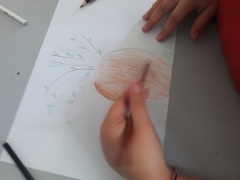 20170523_112311 20170523_112311