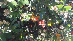 20171020_104412 20171020_104412