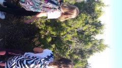 20171020_114504 20171020_114504