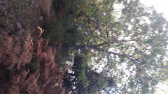 20171020_124103 20171020_124103