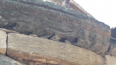 20171020_134932 20171020_134932