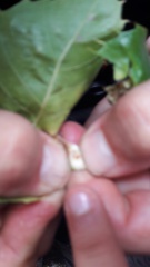 20171020_141257 20171020_141257