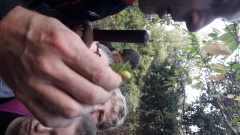 20171020_141708 20171020_141708