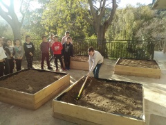 IMG_20171127_140129 IMG_20171127_140129