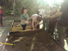 IMG_20171127_140409 IMG_20171127_140409